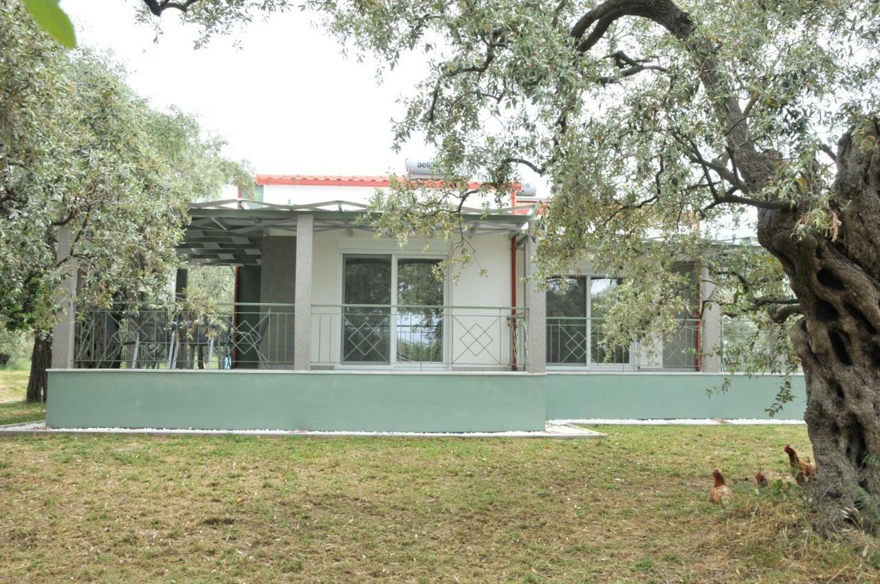 Villa "Elaeda Evdokia" Prinos  Bagian luar foto